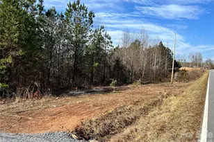 1229 Centennial Rd, Rutherfordton, NC 28139 - Photo 1