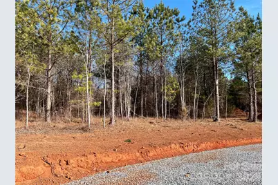 1229 Centennial Road, Rutherfordton, NC 28139 - Photo 2