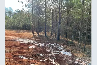 1229 Centennial Road, Rutherfordton, NC 28139 - Photo 4