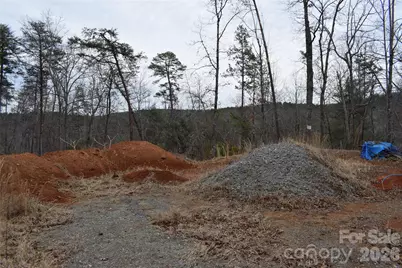 172 Winter Lane, Mill Spring, NC 28756 - Photo 14