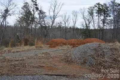 172 Winter Lane, Mill Spring, NC 28756 - Photo 10