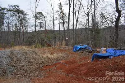 172 Winter Lane, Mill Spring, NC 28756 - Photo 20