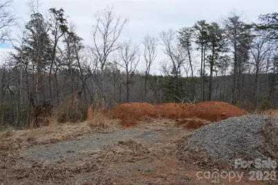 172 Winter Lane, Mill Spring, NC 28756 - Photo 1