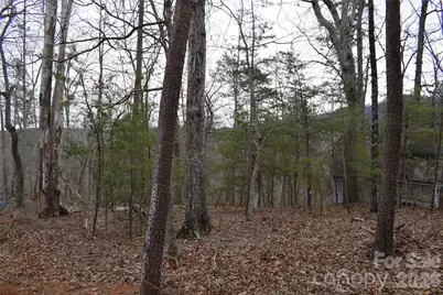 172 Winter Lane, Mill Spring, NC 28756 - Photo 16