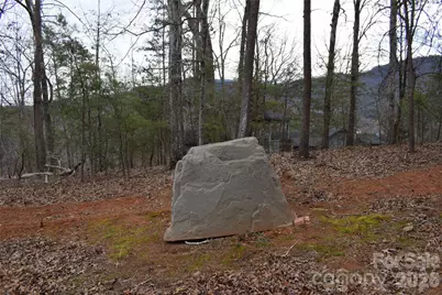 172 Winter Lane, Mill Spring, NC 28756 - Photo 8