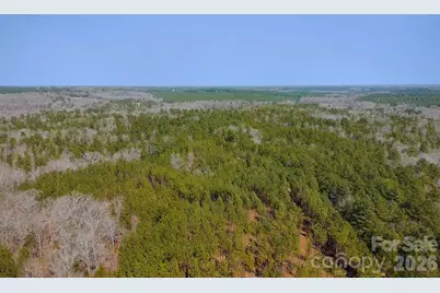 Tbd Old Catholic Church Road, Richburg, SC 29729 - Photo 18