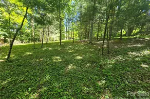 623 Owensby Rd, Hendersonville, NC 28792 - Photo 46
