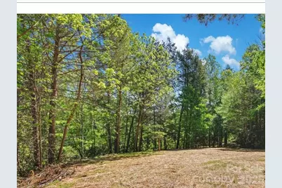 1127 Bee Tree Road, Swannanoa, NC 28778 - Photo 4