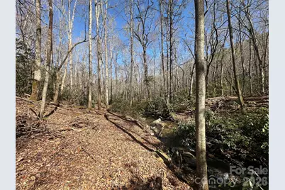 361 Rooster Cove, Brevard, NC 28712 - Photo 14