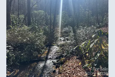 361 Rooster Cove, Brevard, NC 28712 - Photo 16