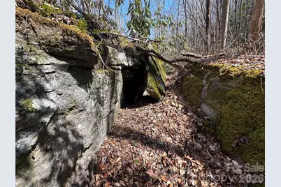 361 Rooster Cove, Brevard, NC 28712 - Photo 12