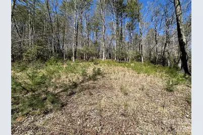 361 Rooster Cove, Brevard, NC 28712 - Photo 26