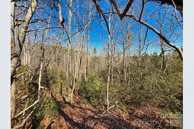 Lots 79 80 100 Westridge Drive, Lake Lure, NC 28746 - Photo 4