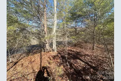 127 Robinwood Trail, Bostic, NC 28018 - Photo 6