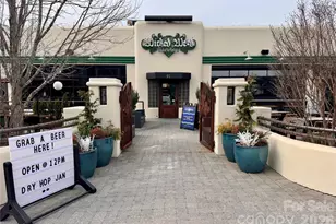 12 S Lexington Ave, Asheville, NC 28801 - Photo 38