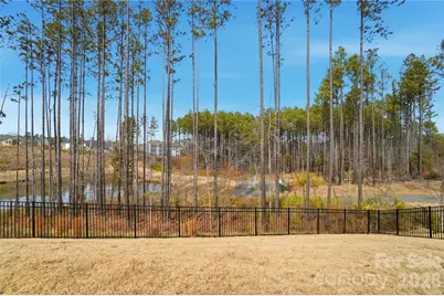 1505 Striped Bass Lane, Clover, SC 29710 - Photo 38