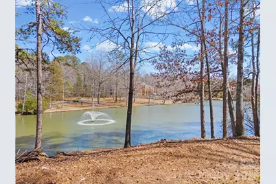 8238 Victoria Lake Drive, Waxhaw, NC 28173 - Photo 32