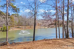 8238 Victoria Lake Dr, Waxhaw, NC 28173 - Photo 32