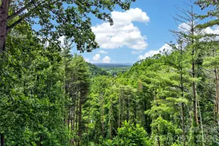 491 S Valley View Dr, Mars Hill, NC 28754 - Photo 28