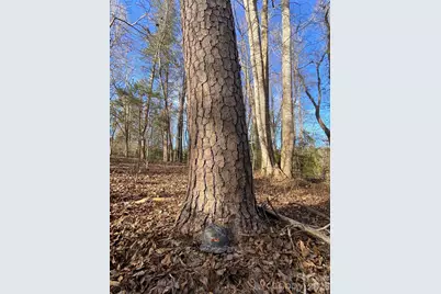 0 US Hwy 64/74A Highway, Rutherfordton, NC 28139 - Photo 10