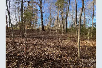 0 US Hwy 64/74A Highway, Rutherfordton, NC 28139 - Photo 2