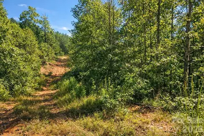 00-00 Ridley Ranch Road #LOT 2, Statesville, NC 28625 - Photo 22