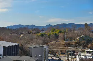 37 Buchanan Pl, Asheville, NC 28801 - Photo 32