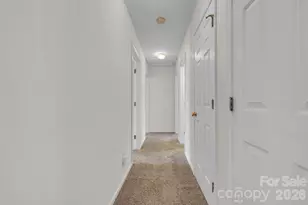 10018 Meadowmead Ct, Charlotte, NC 28273 - Photo 12