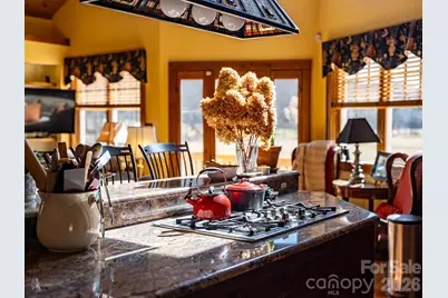 22 Mountain Spring Lane, Canton, NC 28716 - Photo 24