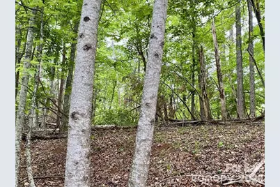 Lot 30 Granny Smith Lane, Lake Lure, NC 28746 - Photo 1