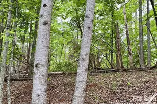 Lot 30 Granny Smith Ln, Lake Lure, NC 28746 - Photo 1