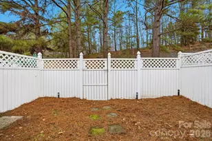 12350 Hennigan Pl Ln, Charlotte, NC 28214 - Photo 36