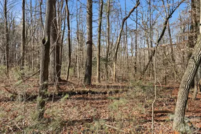 0 Three Forks Church Road, Taylorsville, NC 28681 - Photo 10