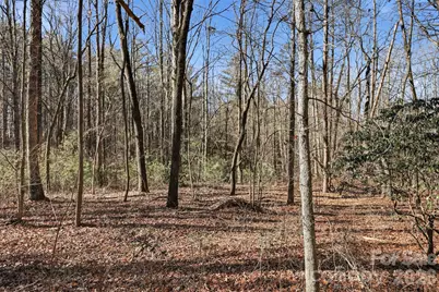 0 Three Forks Church Road, Taylorsville, NC 28681 - Photo 12
