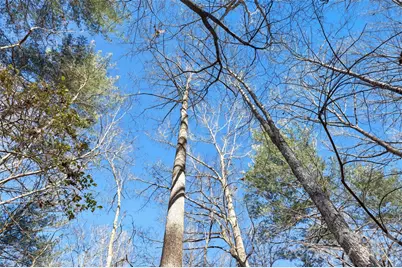 0 Three Forks Church Road, Taylorsville, NC 28681 - Photo 14