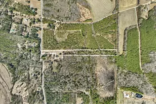 2431 Hwy 52 Hwy S, Cheraw, SC 29520 - Photo 4