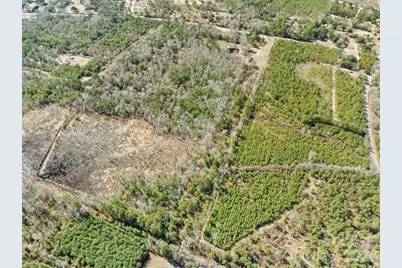 2431 Highway 52 Highway S, Cheraw, SC 29520 - Photo 10