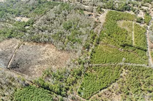 2431 Hwy 52 Hwy S, Cheraw, SC 29520 - Photo 10