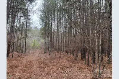 106 Legrand Road, Mount Gilead, NC 27306 - Photo 10