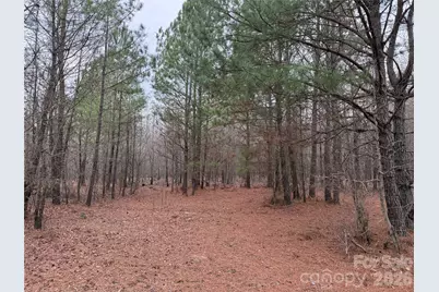 106 Legrand Road, Mount Gilead, NC 27306 - Photo 14