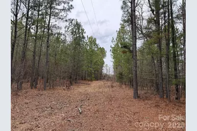 106 Legrand Road, Mount Gilead, NC 27306 - Photo 6