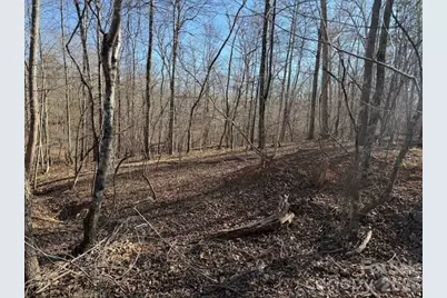 00 Valley Drive, Rutherfordton, NC 28139 - Photo 8