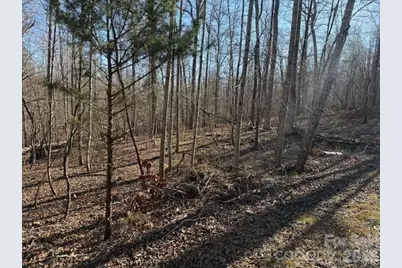 00 Valley Drive, Rutherfordton, NC 28139 - Photo 6