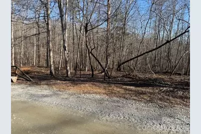 00 Valley Drive, Rutherfordton, NC 28139 - Photo 14