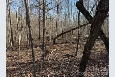 00 Valley Drive, Rutherfordton, NC 28139 - Photo 4