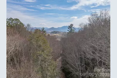 0 Coyote Hollow Road, Waynesville, NC 28785 - Photo 6