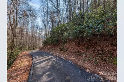 0 Coyote Hollow Road, Waynesville, NC 28785 - Photo 2