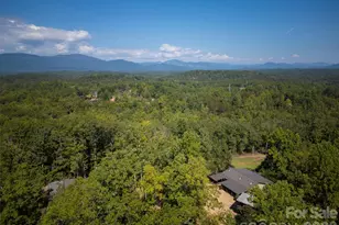 250 Burt Blackwell Rd, Mill Spring, NC 28756 - Photo 40