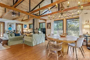 250 Burt Blackwell Rd, Mill Spring, NC 28756 - Photo 8