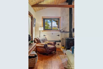 250 Burt Blackwell Road, Mill Spring, NC 28756 - Photo 10